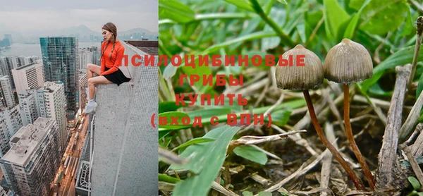ALPHA PVP Алексин