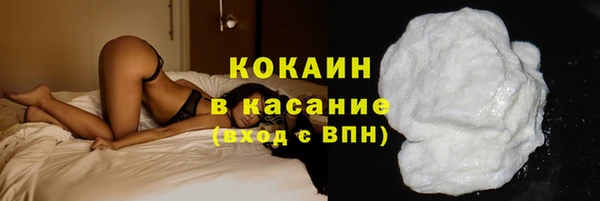 соль ск Алзамай
