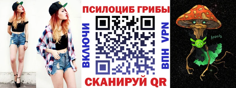 Псилоцибиновые грибы мухоморы  купить наркоту  гидра сайт  Любань 