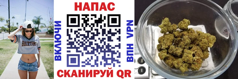 цена   Любань  Конопля Bruce Banner 